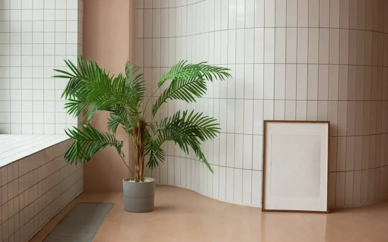 Unglazed Terracotta Tiles